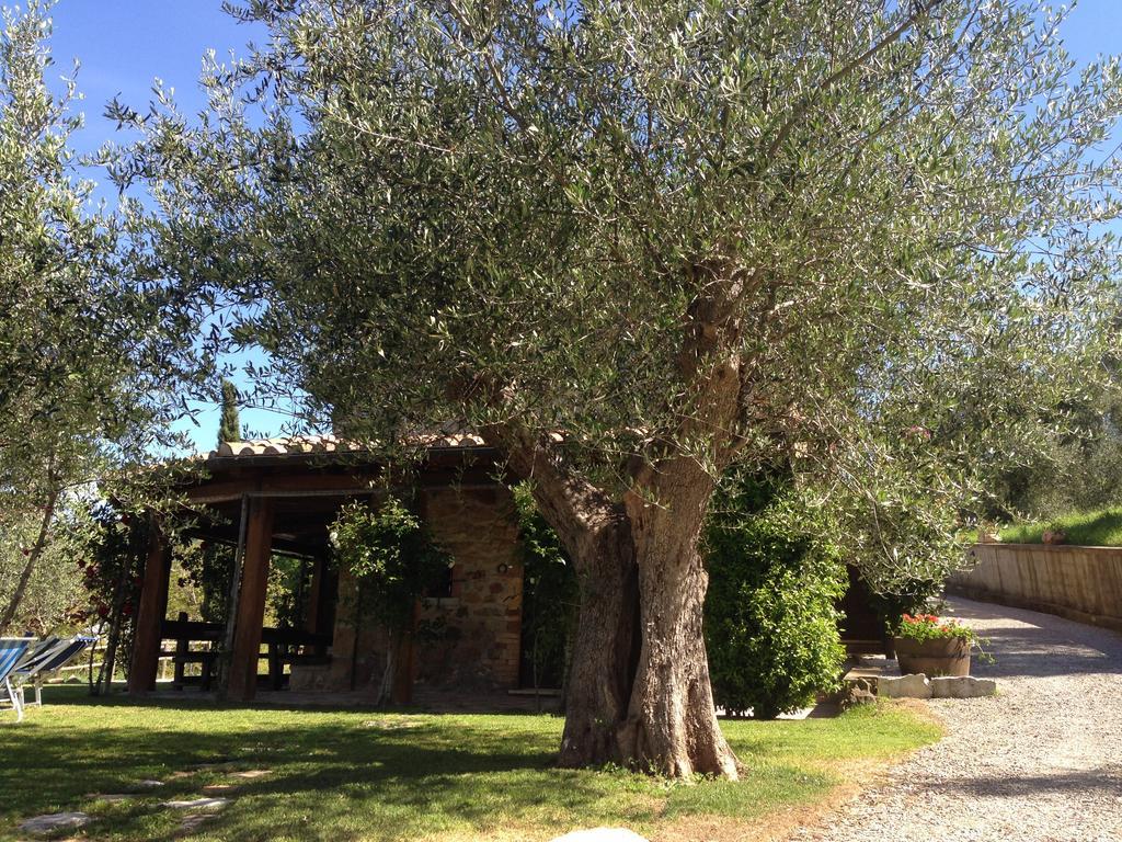 Podere Poggio Benedetto Сатурния Стая снимка